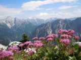 19. Triglav u daljini